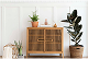 scandinavian-vintage-wood-cabinet-with-houseplants-2022-12-16-00-46-06-utc.jpg