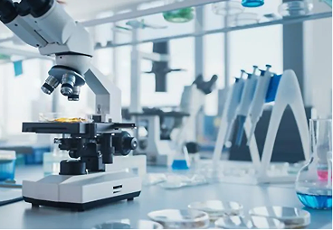 Lorem ipsum dolor sit amscsacsacet, consectescsacc ascsactur.