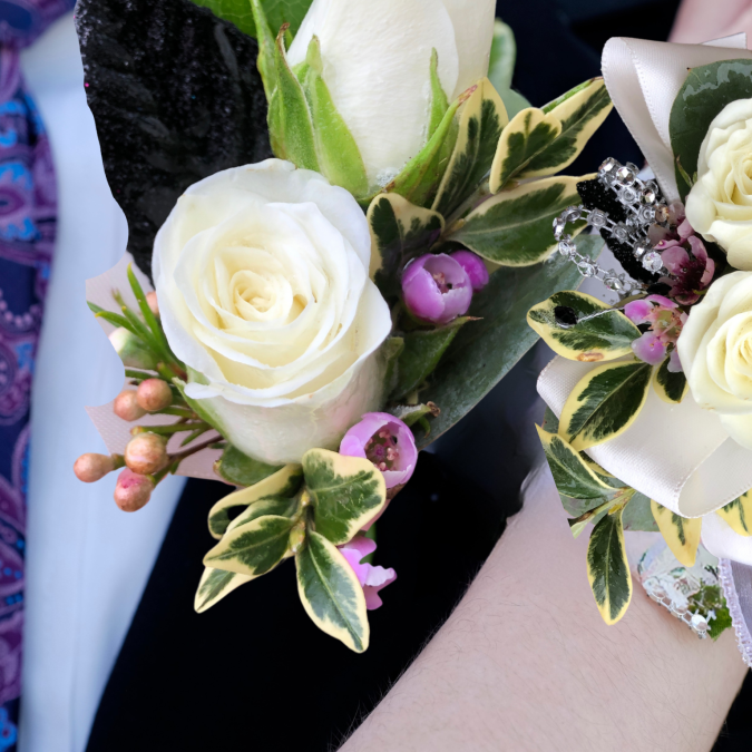 Untitled design.zip - 2